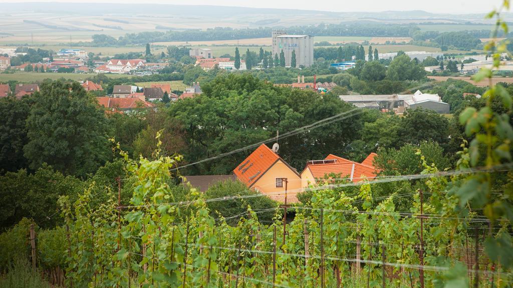 Penzion Zatisi Mikulov Εξωτερικό φωτογραφία